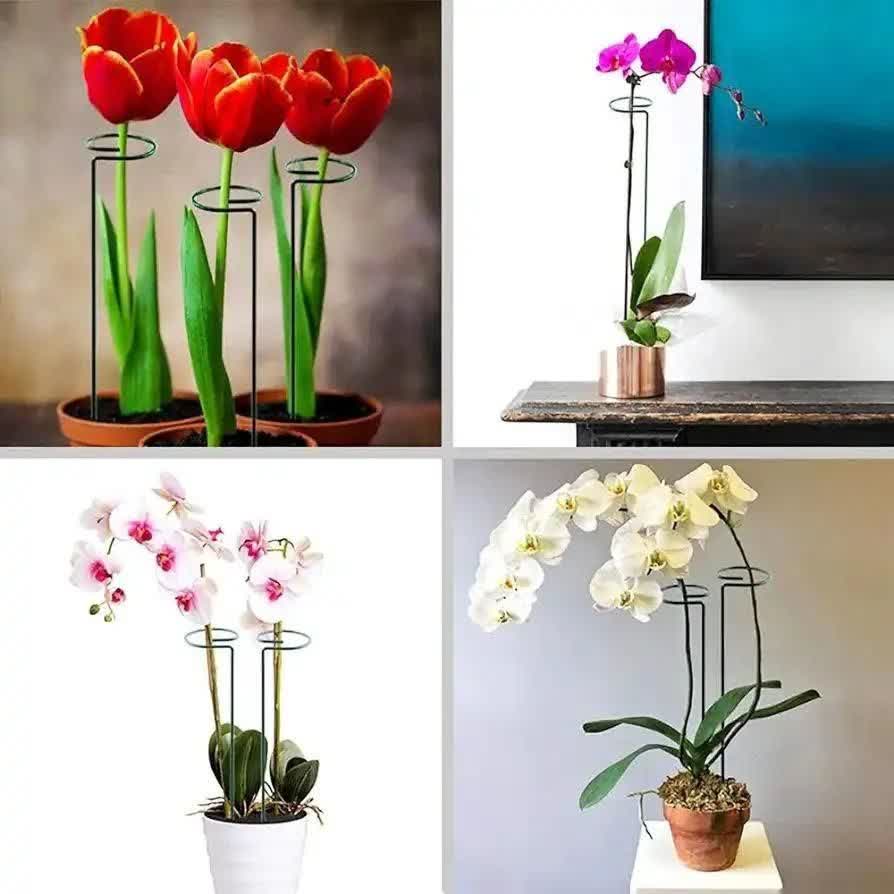 پایه نگهدارنده گل 6 عددی