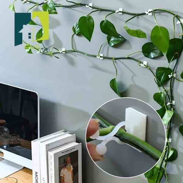گیره نگهدارنده گل پتوس 《۱۰عددی》