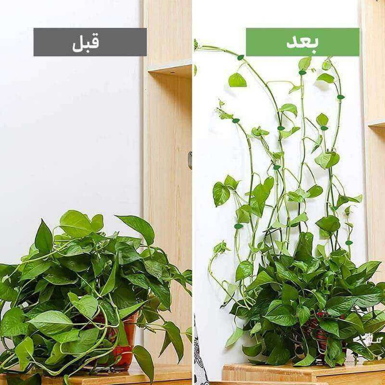 گیره نگهدارنده گل مدل برگ 10 عددی